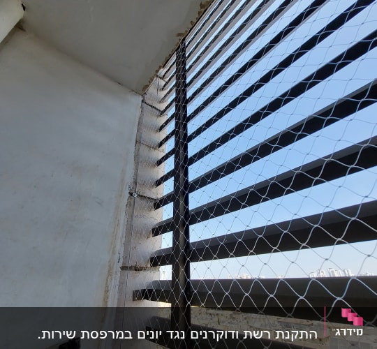 רשת מתכת מותקנת על חלון למניעת כניסת יונים
